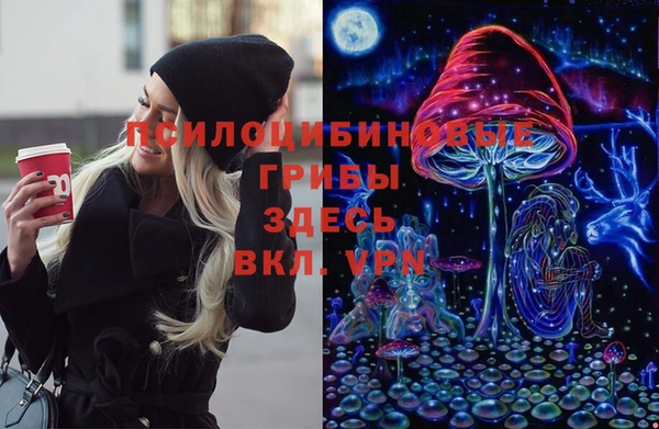 таблы Верхний Тагил