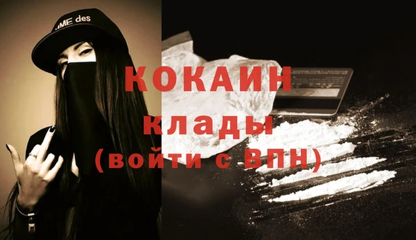 спиды Бородино